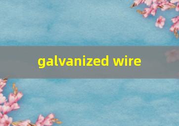  galvanized wire